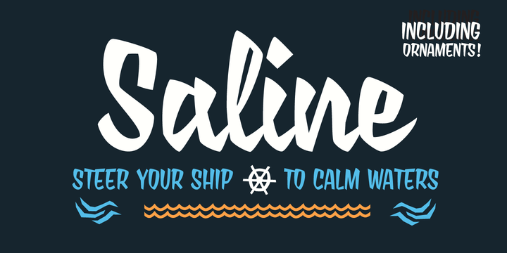 Пример начертания шрифта Saline