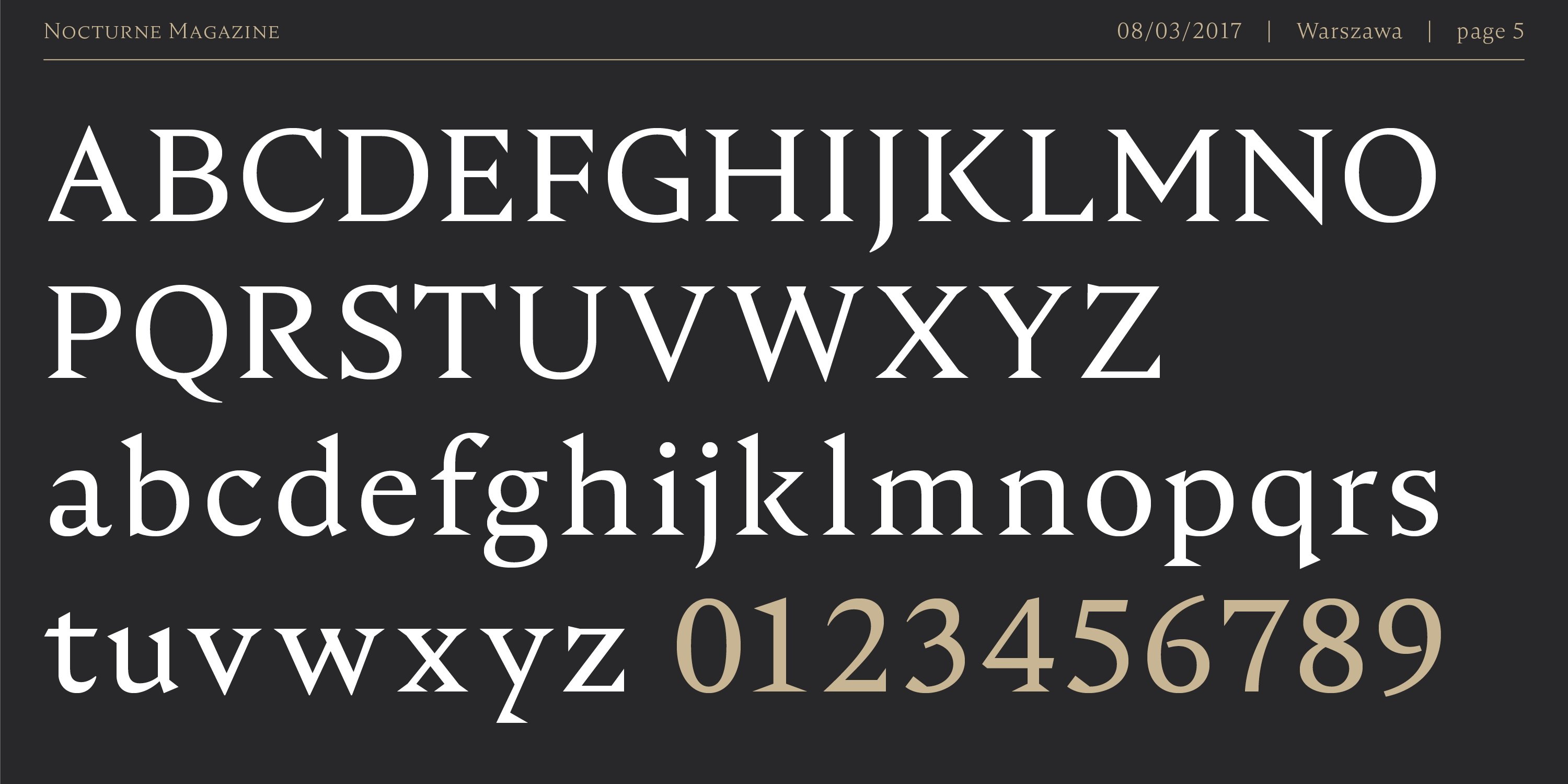 Пример начертания шрифта Nocturne Serif