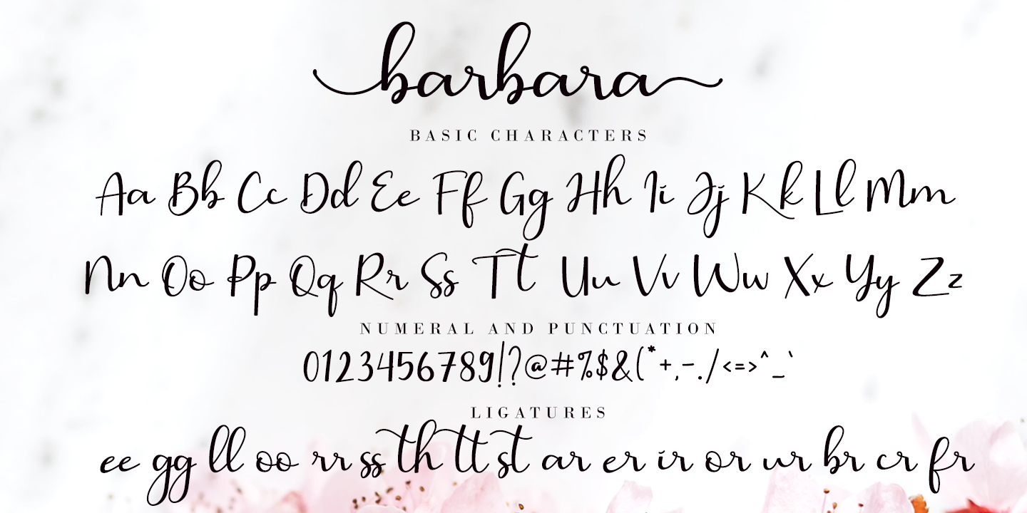 Пример начертания шрифта Barbara Calligraphy
