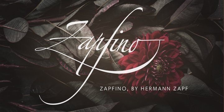 Пример начертания шрифта Zapfino Extra