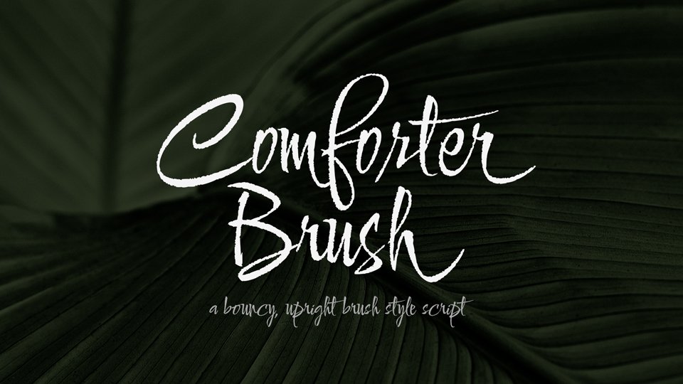 Пример начертания шрифта Comforter Brush